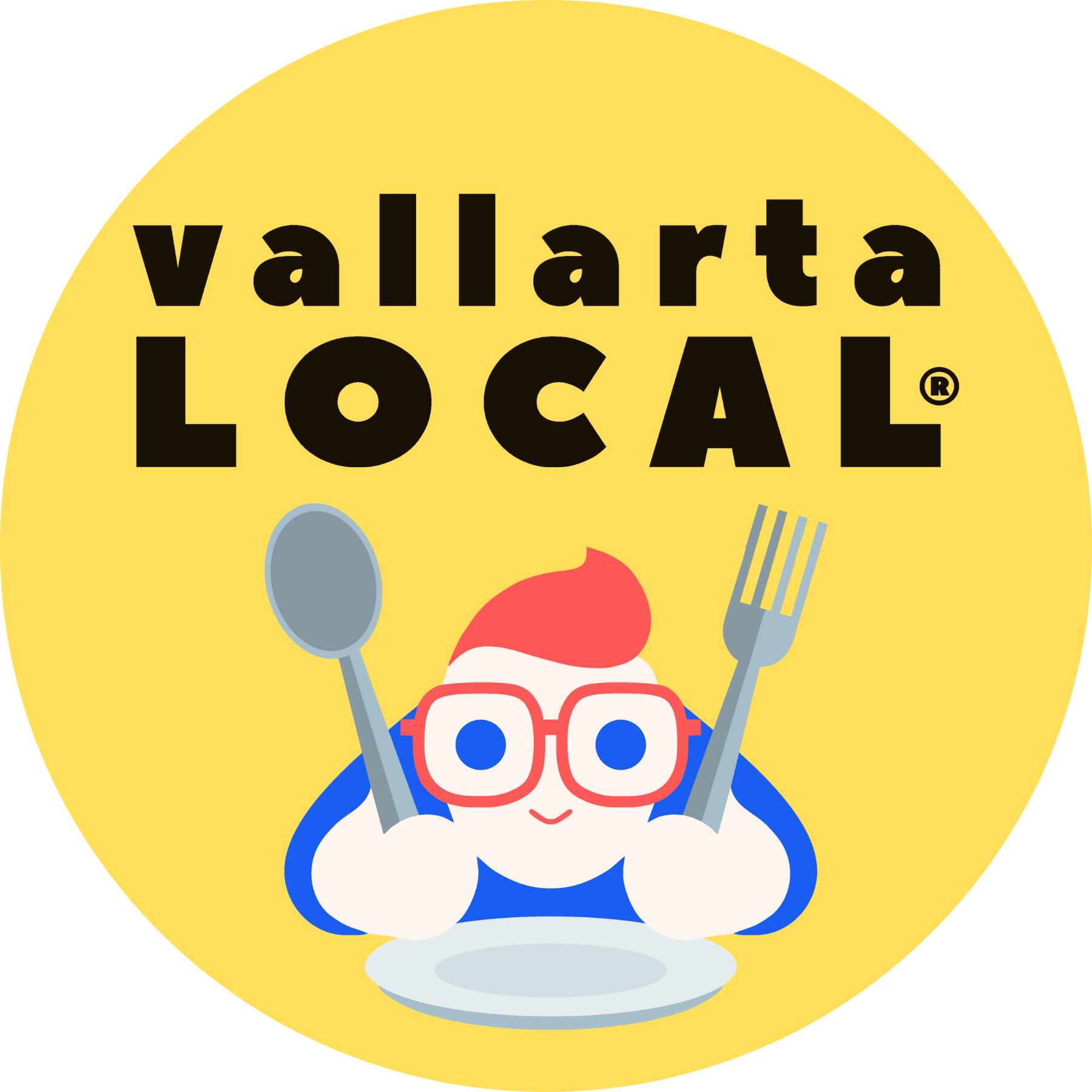 logo of VALLARTA LOCAL